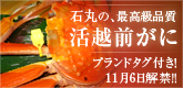Ίۂ́Aōi zO