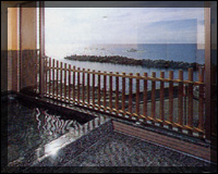 越前の旅館 「ホテル割烹 石丸」　お風呂からの景色
