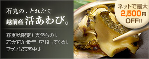 �Ίۂ́A�Ƃꂽ�ĉz�O�Y�������