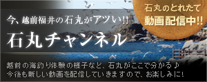 �Ίۃ`�����l��
